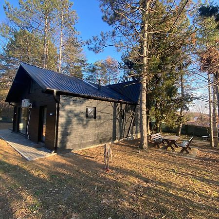 Villa Kuca Za Odmor Vrdnik Esterno foto