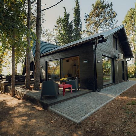 Villa Kuca Za Odmor Vrdnik Esterno foto