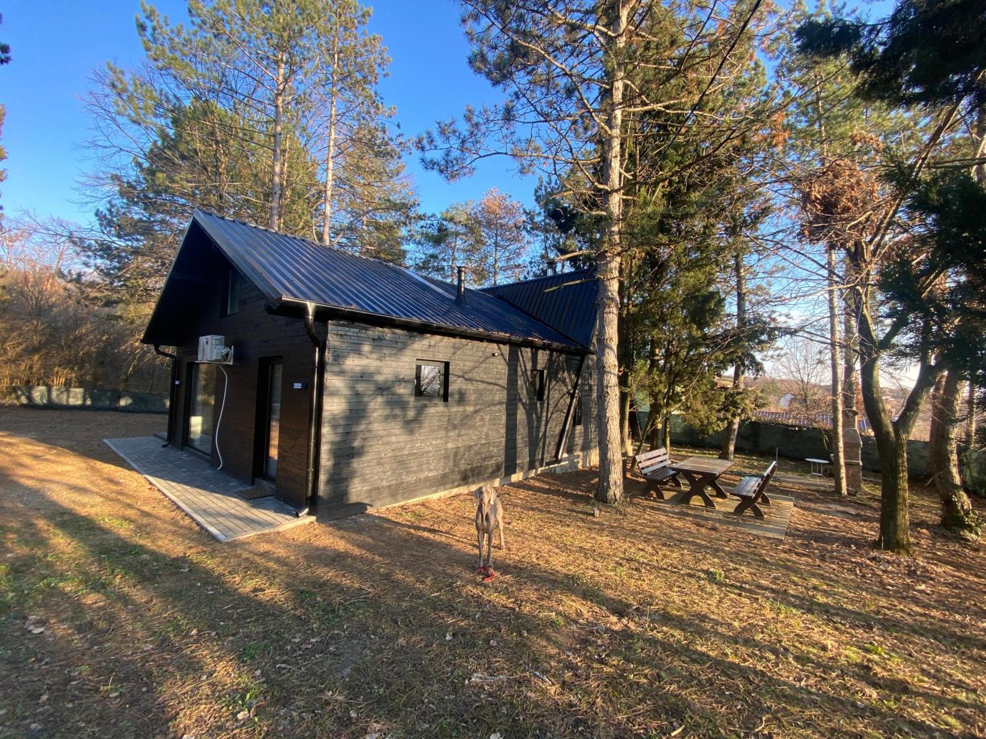 Villa Kuca Za Odmor Vrdnik Esterno foto