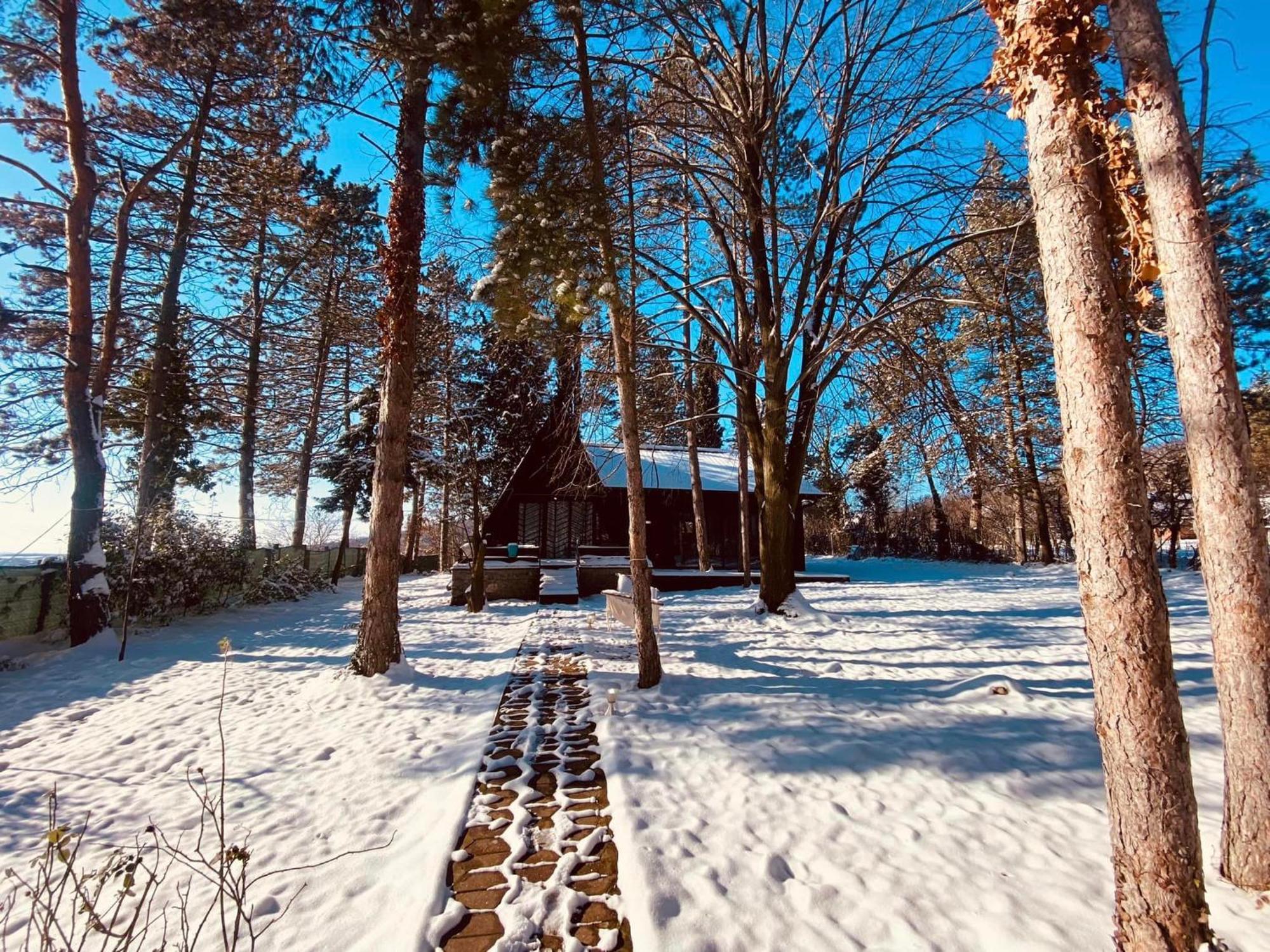 Villa Kuca Za Odmor Vrdnik Esterno foto