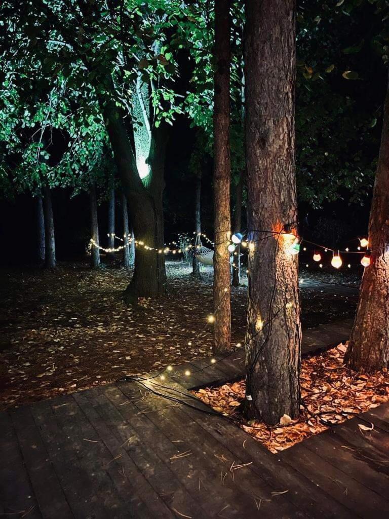 Villa Kuca Za Odmor Vrdnik Esterno foto