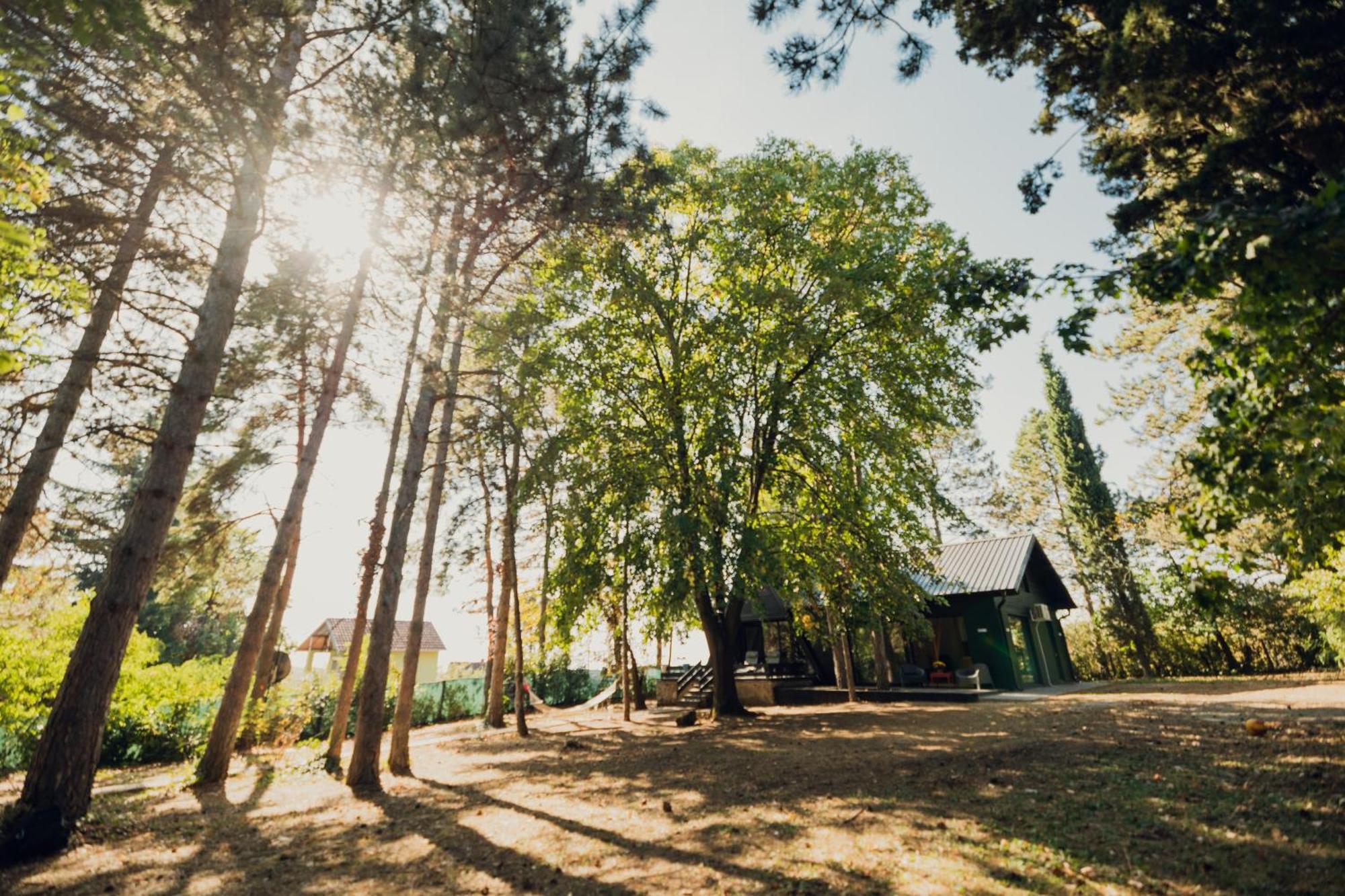 Villa Kuca Za Odmor Vrdnik Esterno foto