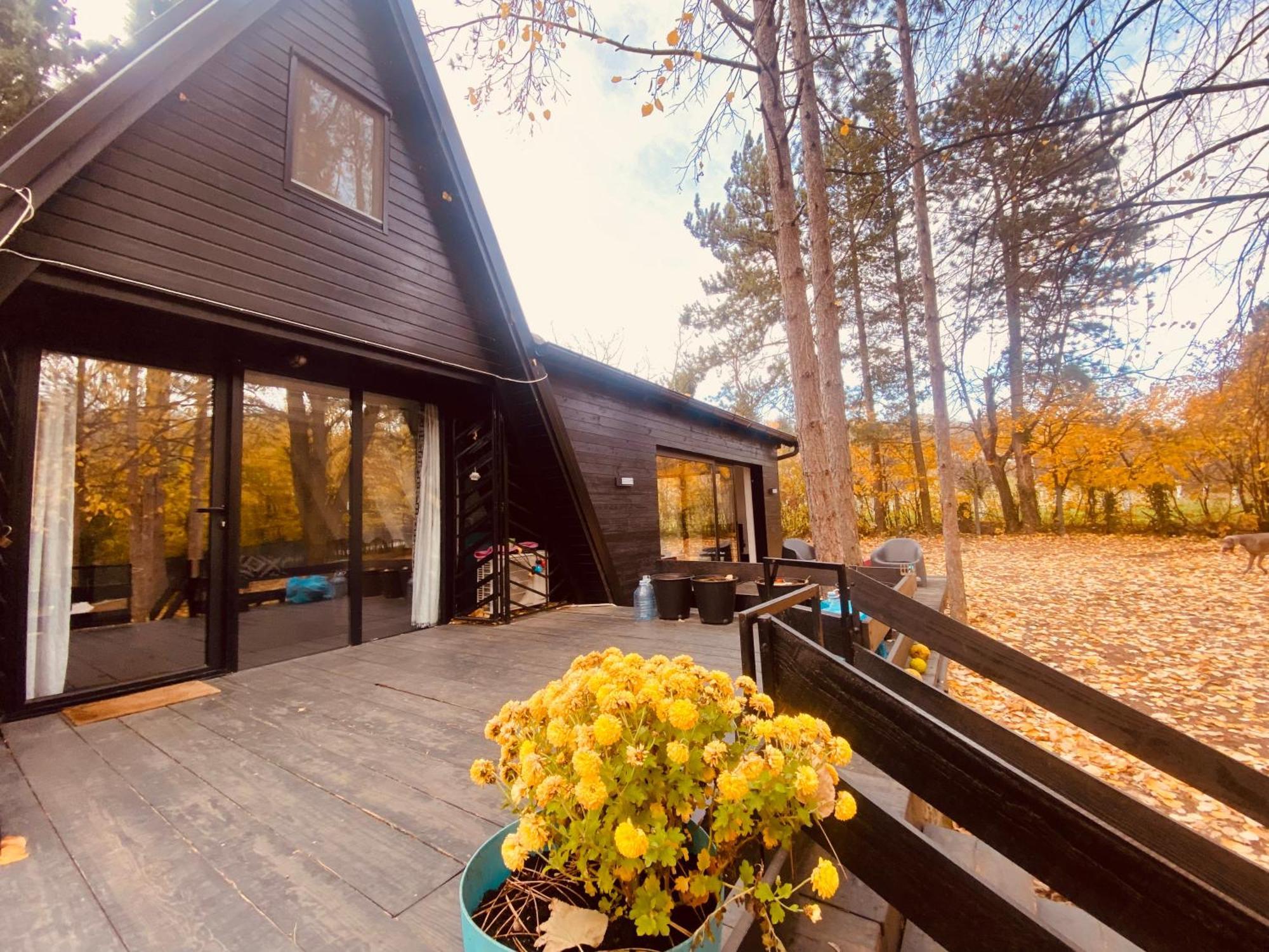 Villa Kuca Za Odmor Vrdnik Esterno foto
