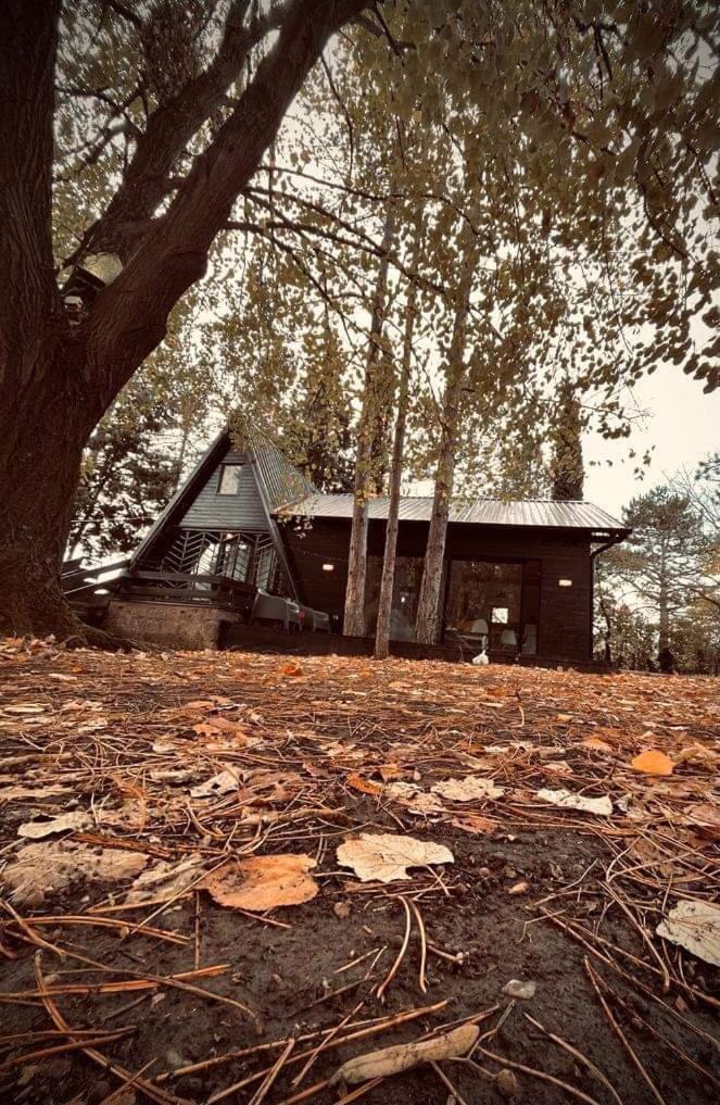 Villa Kuca Za Odmor Vrdnik Esterno foto